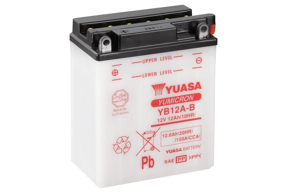 ELECTRICA & LUMINI - Yumicron battery with acid YUASA