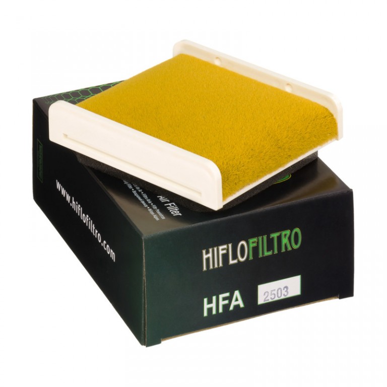 Vzduchový filtr HIFLOFILTRO HFA2503