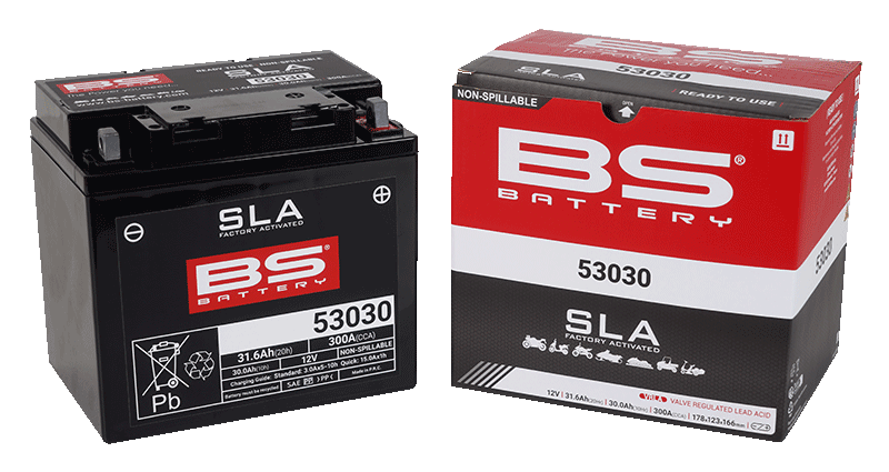 Baterie activata din fabrica BS-BATTERY [2]